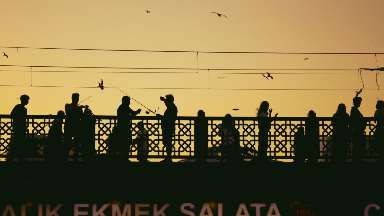 Daňové číslo, sociálne a zdravotné odvody: Kde a kedy vzniká zákonná povinnosť