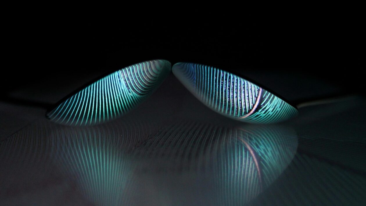 SEO pre charitu: ako využiť cause keywords a budovať autoritu tém (topical authority)